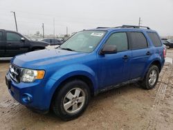 Salvage cars for sale at Temple, TX auction: 2011 Ford Escape XLT