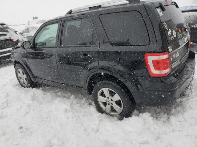 2010 Ford Escape Limited