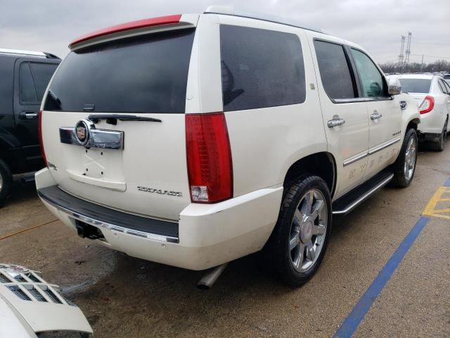 2009 Cadillac Escalade Hybrid