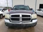 2005 Dodge Dakota SLT