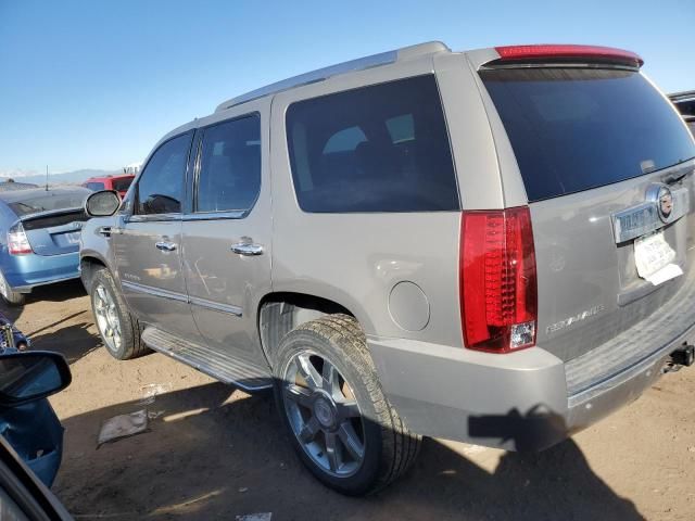 2007 Cadillac Escalade Luxury