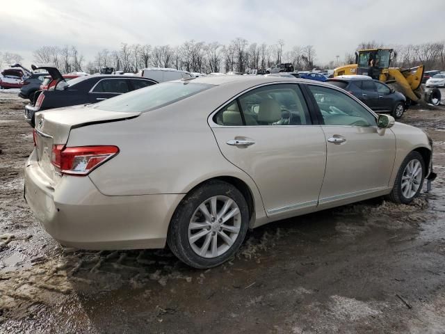 2011 Lexus ES 350