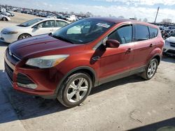 Salvage cars for sale at Sikeston, MO auction: 2014 Ford Escape SE