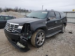 Salvage cars for sale at Lawrenceburg, KY auction: 2012 Cadillac Escalade ESV Luxury