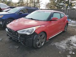 Hyundai Veloster salvage cars for sale: 2013 Hyundai Veloster Turbo