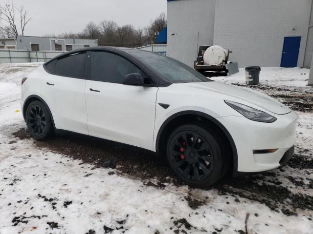 2020 Tesla Model Y