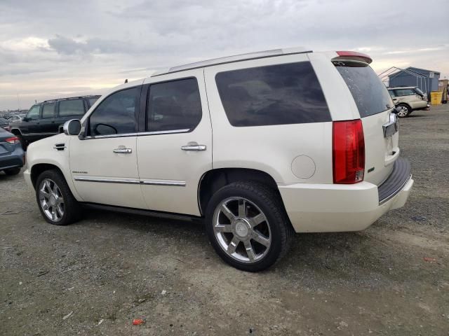 2012 Cadillac Escalade Luxury