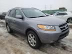 2008 Hyundai Santa FE SE