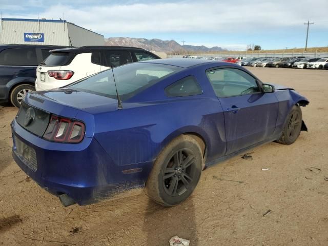 2013 Ford Mustang