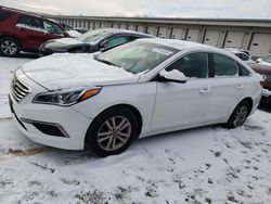 Hyundai salvage cars for sale: 2016 Hyundai Sonata SE