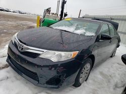 Salvage cars for sale at Elgin, IL auction: 2013 Toyota Camry L