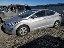 Salvage cars for sale at Reno, NV auction: 2015 Hyundai Elantra SE