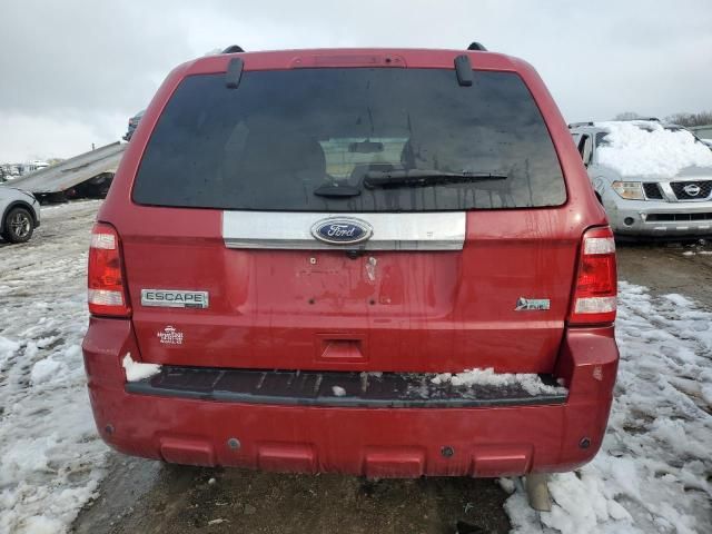 2011 Ford Escape Limited