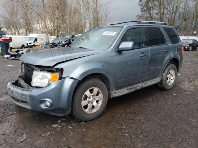 2010 Ford Escape Limited