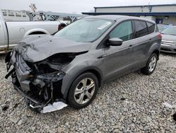 Ford Escape SE salvage cars for sale: 2014 Ford Escape SE