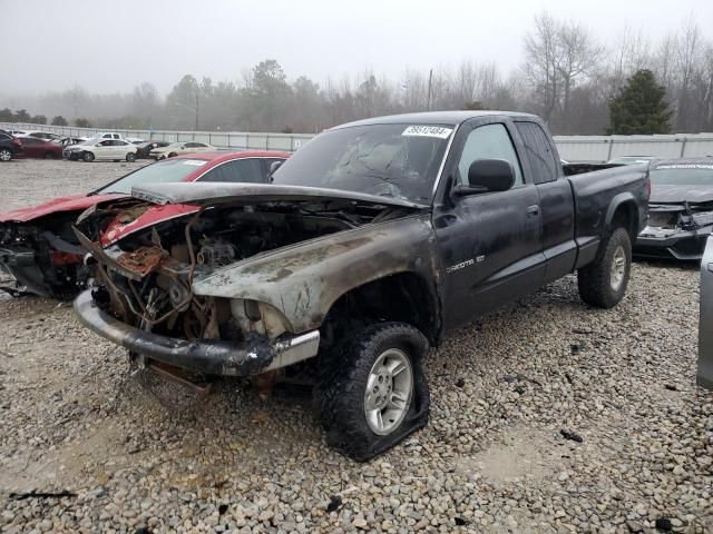 2000 Dodge Dakota