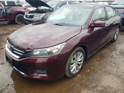 Salvage cars for sale at Elgin, IL auction: 2013 Honda Accord EXL