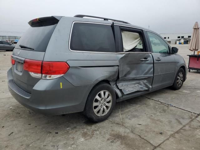 2009 Honda Odyssey EXL