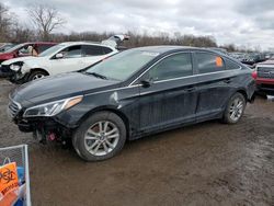 Hyundai Sonata SE Vehiculos salvage en venta: 2016 Hyundai Sonata SE