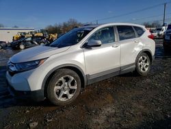 Salvage cars for sale at Hillsborough, NJ auction: 2019 Honda CR-V EX