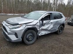 Toyota Rav4 salvage cars for sale: 2022 Toyota Rav4 XLE