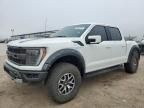 2023 Ford F150 Raptor