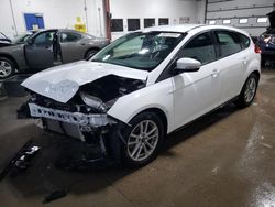 2015 Ford Focus SE for sale in Ham Lake, MN