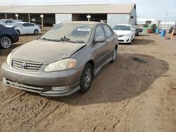 Salvage cars for sale at Phoenix, AZ auction: 2003 Toyota Corolla CE