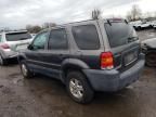 2005 Ford Escape XLS