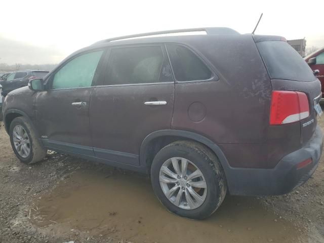 2011 KIA Sorento Base