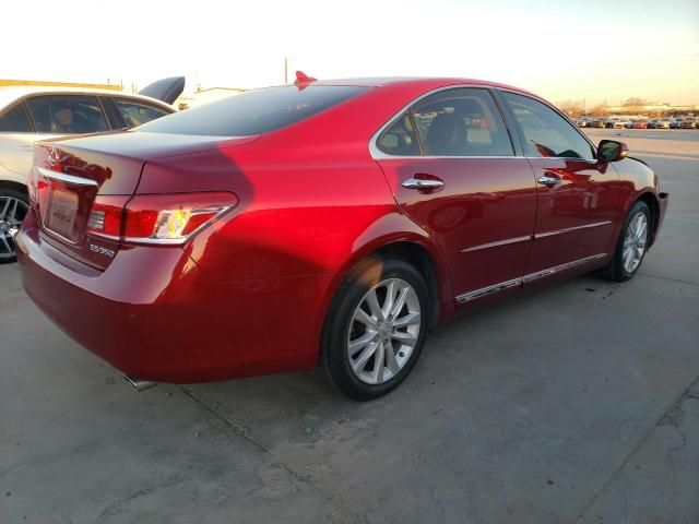 2011 Lexus ES 350