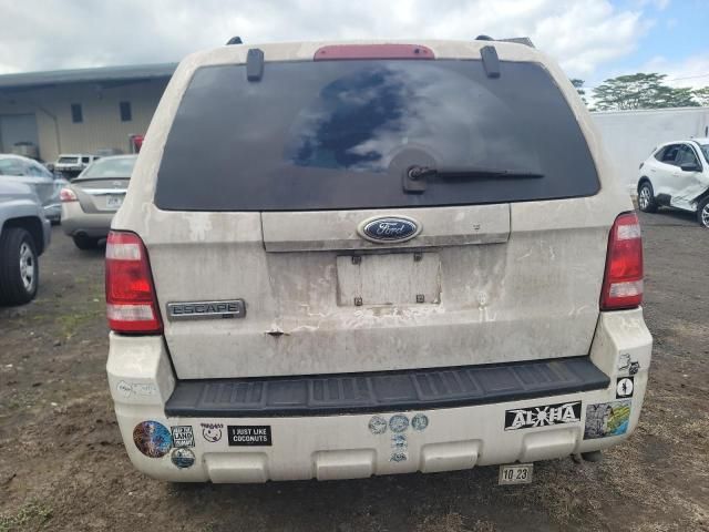 2009 Ford Escape XLT