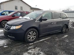 Salvage cars for sale from Copart York Haven, PA: 2015 Honda Odyssey EX