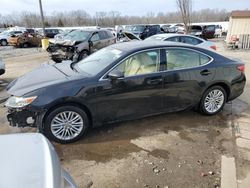 Salvage cars for sale from Copart Louisville, KY: 2013 Lexus ES 350