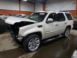 2009 Cadillac Escalade Platinum for sale in Rocky View County, AB