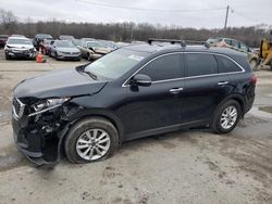 Salvage cars for sale from Copart Louisville, KY: 2019 KIA Sorento L