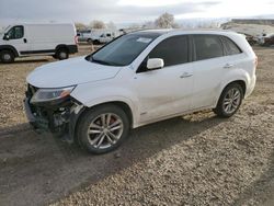 Salvage cars for sale from Copart Billings, MT: 2015 KIA Sorento SX