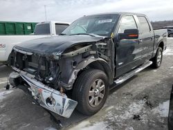 Ford salvage cars for sale: 2013 Ford F150 Supercrew