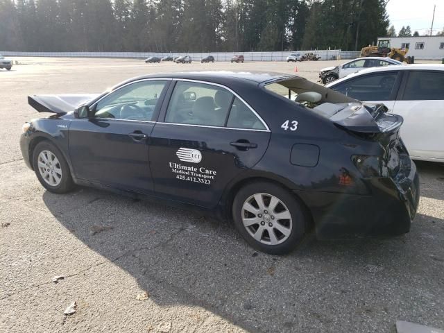 2009 Toyota Camry Hybrid