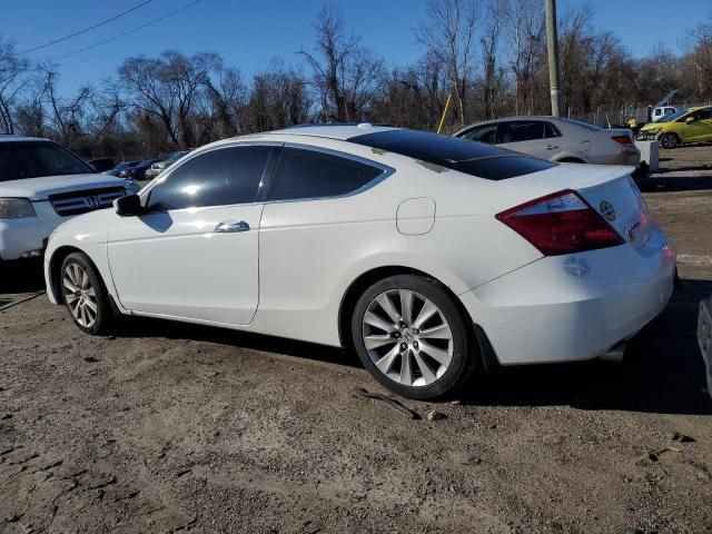 2010 Honda Accord EXL