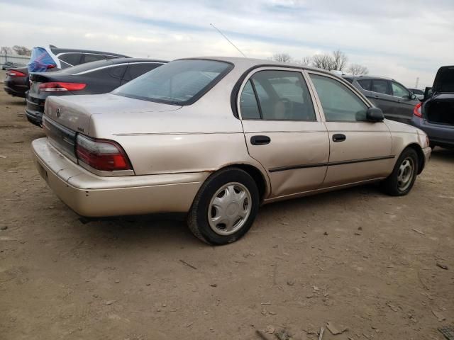 1996 Toyota Corolla