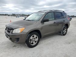 Salvage cars for sale at Arcadia, FL auction: 2011 Toyota Rav4