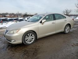 Lexus ES 350 salvage cars for sale: 2011 Lexus ES 350