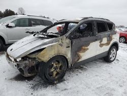 Salvage cars for sale at Ham Lake, MN auction: 2013 Ford Escape SE