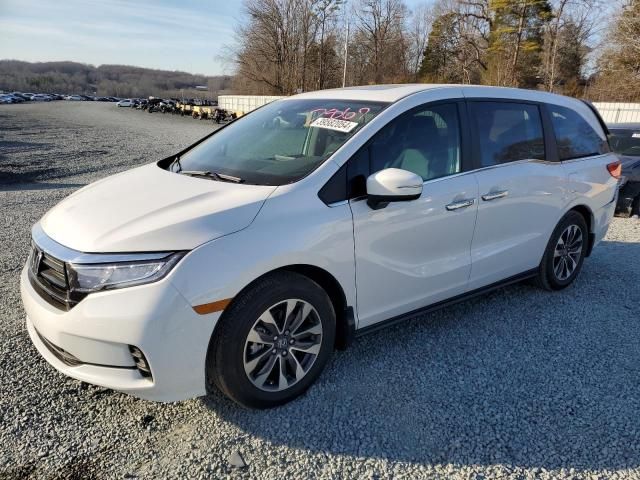 2024 Honda Odyssey EXL