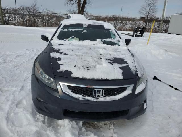 2008 Honda Accord EXL