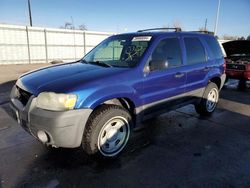 Salvage cars for sale at Littleton, CO auction: 2006 Ford Escape XLS