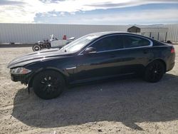 Salvage cars for sale at Adelanto, CA auction: 2013 Jaguar XF