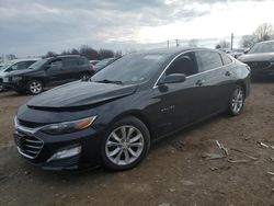 Salvage cars for sale at Hillsborough, NJ auction: 2019 Chevrolet Malibu LT