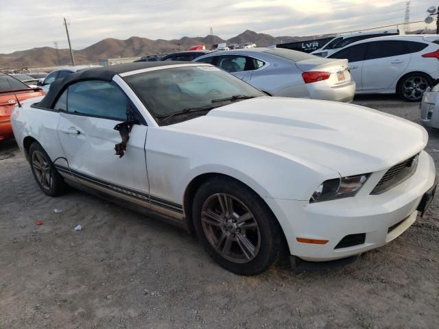 2010 Ford Mustang